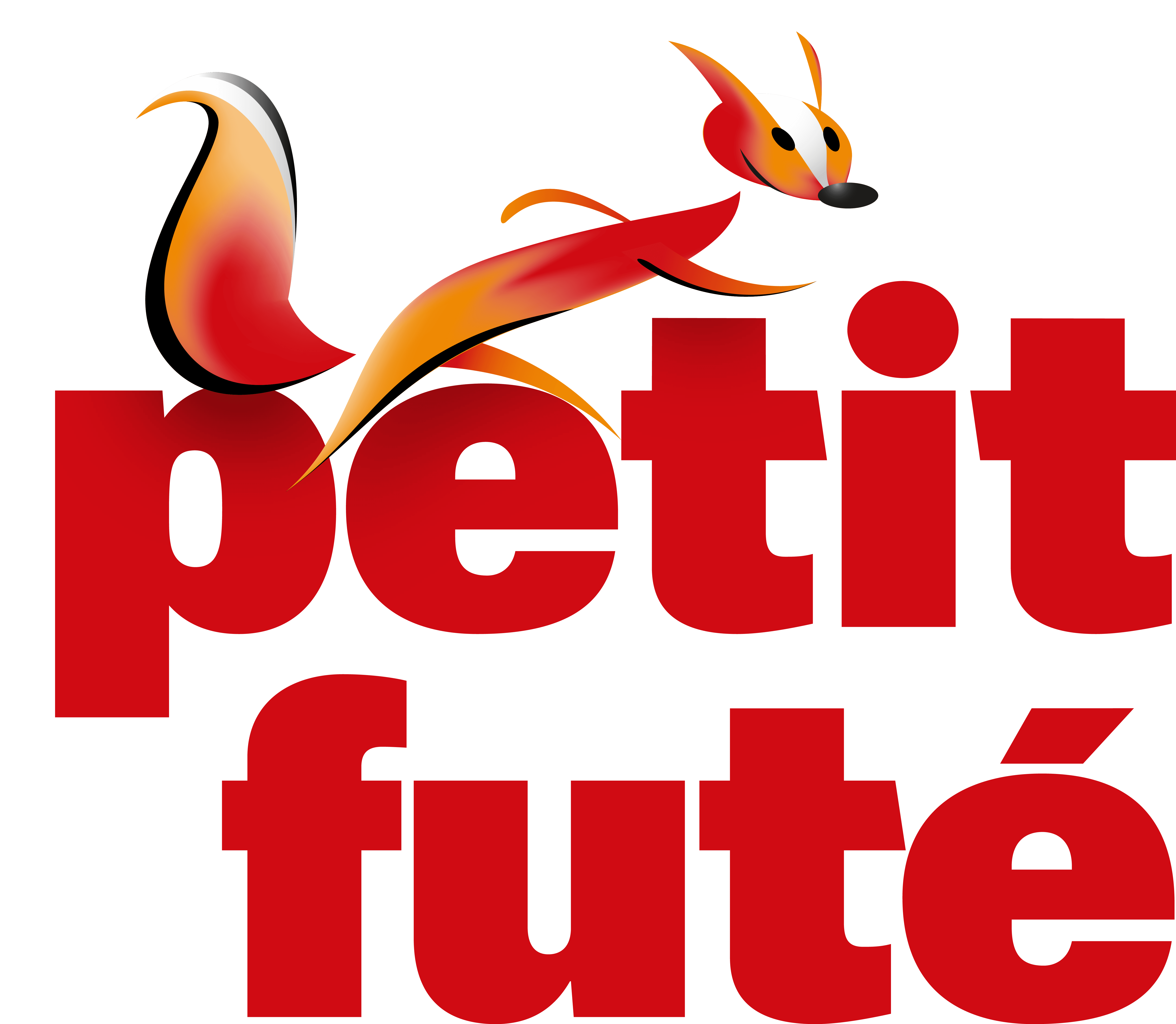 Petit Futé