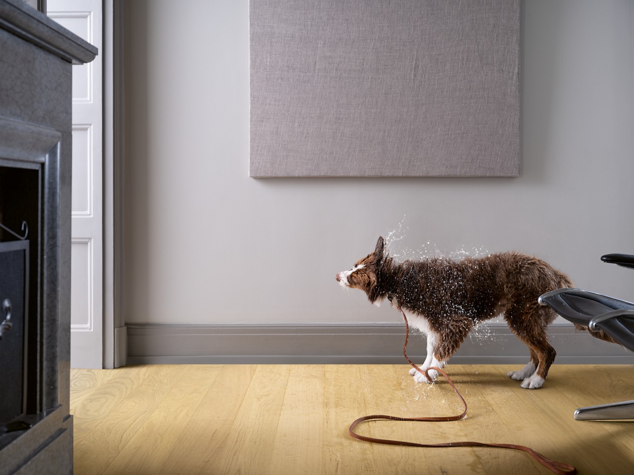 parquet pergo chêne Épuré clair